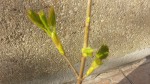 20190322_170909.jpg