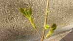 20190322_170913.jpg