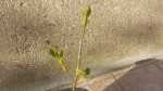 20190322_170859.jpg