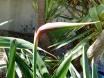 IMG_20190323_121850.jpg