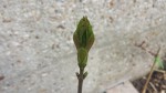 20190323_115908.jpg
