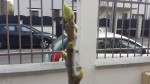20190323_120545.jpg