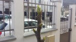 20190323_120611.jpg