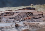 DSC_5620.JPG