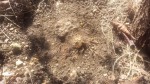 20190325_135257.jpg