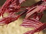 20190326_095743.jpg