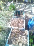 rps20190327_101817_571.jpg