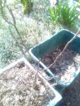 rps20190327_101908_577.jpg