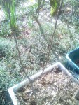 rps20190327_101947_627.jpg