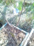 rps20190327_102022_819.jpg
