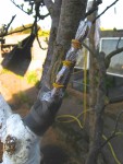 IMG_0566.jpg