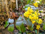 IMG_20190329_125345.jpg