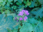 IMG_20190329_154031.jpg