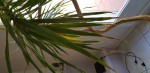 20190329_142627.jpg
