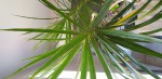 20190329_142705.jpg