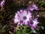 IMG_20190329_154015.jpg