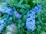 IMG_20190329_154024.jpg
