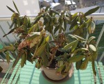 IMG_20190331_183830.jpg