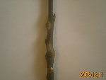 PICT1565.jpg