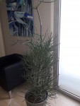 20190401_153728.jpg