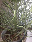 20190401_153756.jpg