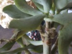 IMG_20190403_170702_1CS.jpg