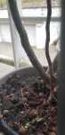 20190403_193623-1470x3024.jpg