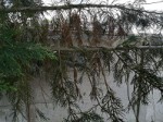 IMG_20190405_181816.jpg