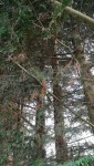 IMG_20190405_185310.jpg
