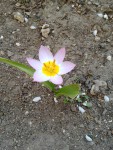 20190406_161724.jpg