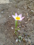 20190406_161754.jpg