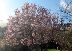 IMG_0104.JPG
