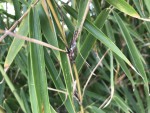 1D012321-6AAF-4583-BA04-AC55BD577456.jpeg
