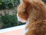 mimi 003.jpg