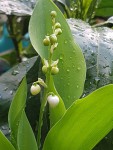 20190408_192214.jpg