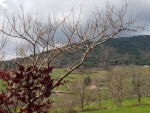 20190409_113412.jpg