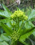 20190409_120819.jpg