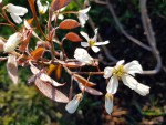 20190409_083918.jpg