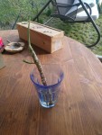 le haut qui était vert et en bon état