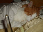 mimi 004.jpg