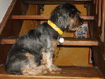 Images appareil photo 120.jpg