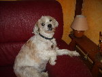 Images appareil photo 467.jpg