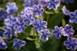 DSC01276.jpg