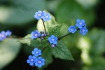 DSC01287.jpg