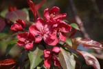 DSC01314.jpg