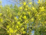 IMG_1357.JPG