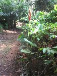IMG_3645 [800x600].JPG