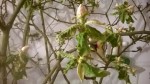 WP_20190415_003.jpg