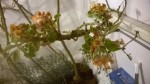 WP_20190415_006.jpg