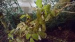 WP_20190415_007.jpg